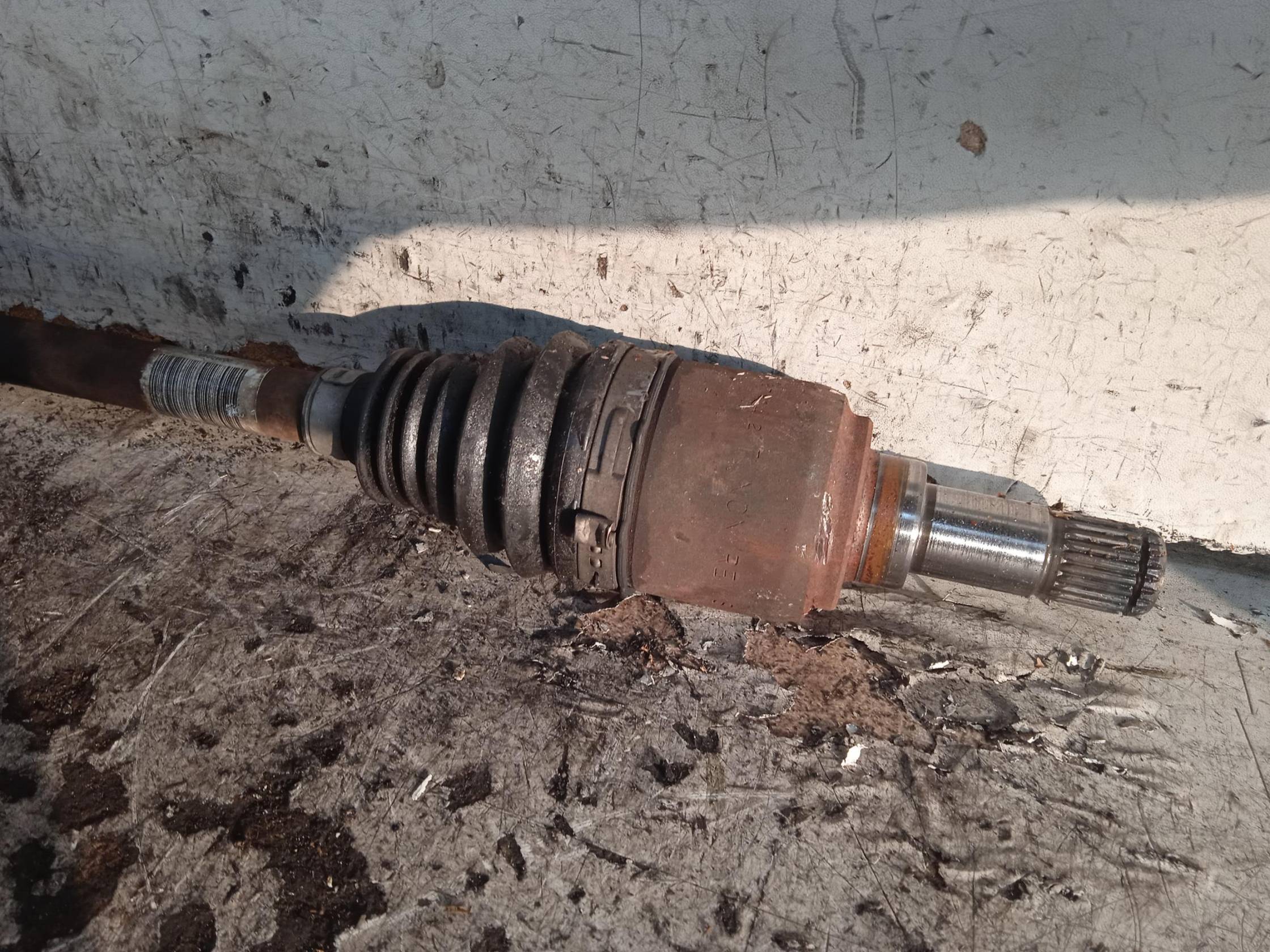 Semialbero ant. compl. sx.